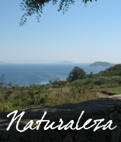 naturaleza