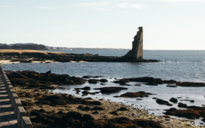 Visit Cambados: The jewel of wine-growing and seafood in the Rias Baixas
