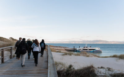 Naviera Mar de Ons organiza viajes a las Islas Atlánticas con motivo del puente del Pilar